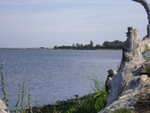 Blick zum Boiensdorfer Werder