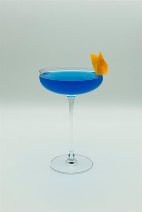 Cocktail Bikini Martini