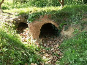 Agassac