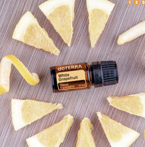 doterra November Angebote, doterra November 2020, White Grapefruit, Gratis Produkt des Monats, doterra Hamburg, doterra deutschland, doterra schweiz, doterra oesterreich