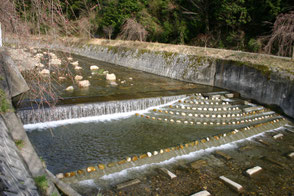 岐阜県揖斐土木事務所の発注により中小河川の既設魚道に設置された棚田式魚道の写真