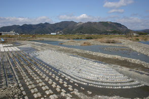 国土交通省の発注により根尾川に設置された新設の棚田式魚道の写真