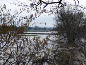 Inondations Bourbince Vitry-en-Charollais