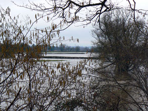 Inondations Bourbince Vitry-en-Charollais 