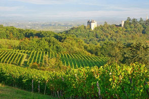 Château La Hitte au coeur de son vignoble AOC Buzet dans le Sud-Ouest de la France