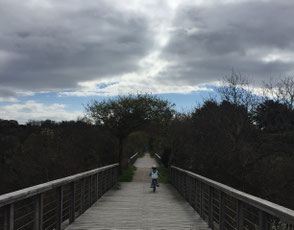 La passerelle du Marais (tout dernièrement rénovée) permet d'accéder aux Sables d'Or, puis Cap Fréhel (à 17 km d'Erquy) ; ou bien après Caroual, direction Pléneuf Val André (à 8 km d'Erquy)