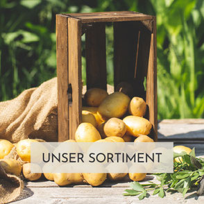 TRIXiS Dorfmarkt - Unser Sortiment