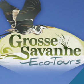 Grosse Savanne Eco-Tours Logo Design Lake Charles Louisiana