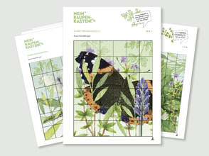 lehrmittel-raupe-schmetterling-naturforscher-puzzle