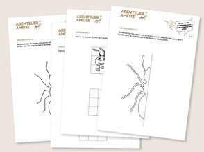 lehrmittel-ameise-naturforscher-Ameise-zeichnen