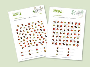 lehrmittel-lebensraeume-naturforscher-arbeitsblaetter