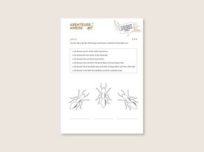 lehrmittel-naturforscher-ameise-zyklus1-logical