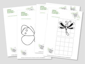 lehrmittel-raupe-schmetterling-naturforscher-raetsel