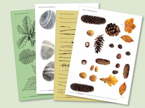 lehrmittel-lebensraeume-naturforscher-bastelvorlagen