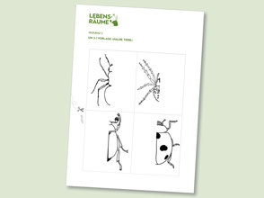 lehrmittel-lebensraeume-naturforscher-insekten-zeichnen