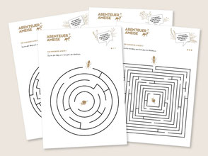lehrmittel-naturforscher-ameise-zyklus1-raetsel