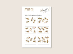 lehrmittel-naturforscher-ameise-zyklus1-buchstabensalat