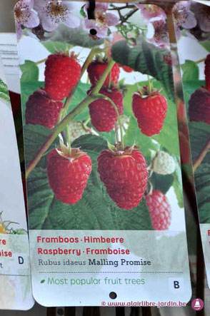 arbres fruitiers livrer