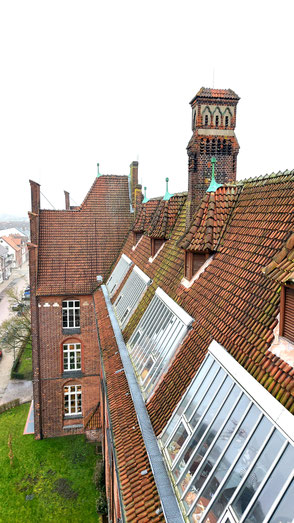 Dachdämmung mit Hanfbaustoffen