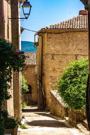 I borghi della Lavanda: Viens