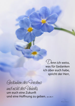 Vergissmeinnicht, Christliche Kunstkarte