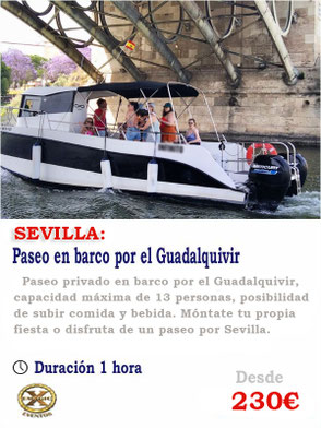 paseo barco Sevilla 13 personas