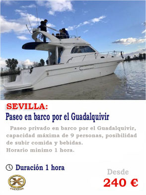 Fiesta en barco Sevilla