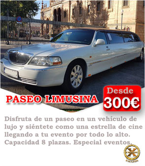 paseo en limusina las palmas