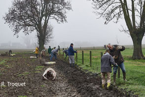 Plantation de haie entre champ et prairie