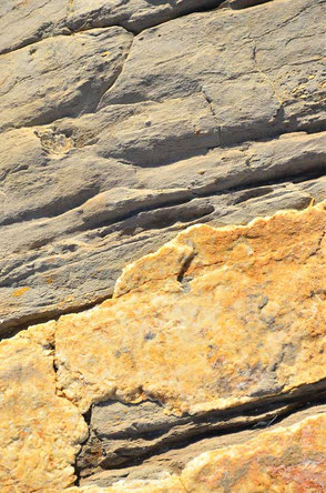 Themen von Winfried Herzog