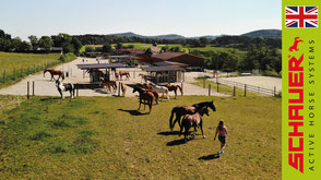 Active Horse stable systems - References - Preview - Family Winter Austria