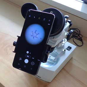 スマートフォンで撮影