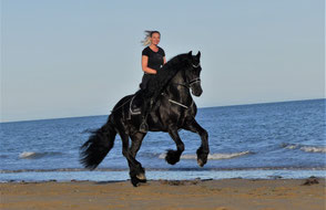 Exklusives Friesenreiten