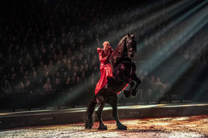 Friesenwallach bei Apassionata