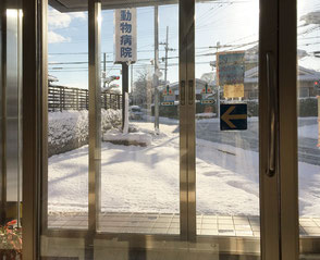 冬の雪景色・栗東動物病院内より