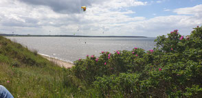 Privatspot Kuhberg der Wassersportschule Oceanblue Watersports in Rerik am Salzhaff- Deine Kiteschule Rerik