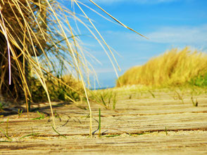 Strandpromenade Rerik- Spüre das Seegras nach deinem Surfkurs oder Kitekurs in deiner VDWS Surfschule Rerik an der Ostsee- Deine VDWS Kiteschule am Salzhaff