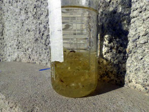 Dammar in Balsam-Terpentin