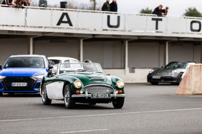 galerie photos ordre de malte 2024 Austin Healey