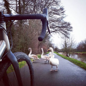 Mit dem Rad den Stau umfahren