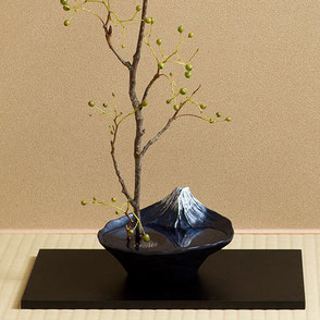 ikebana sakasafuji flowervase