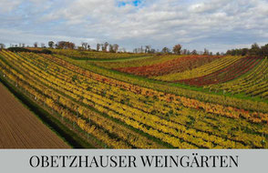 Weingarten Obetzhauser Stillfried Grub