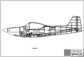 Sequoia Falco Airplane