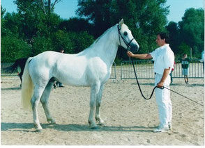Apollon à 3 ans