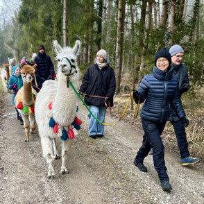 Lamas und Besucher*innen auf gemeinsamer Tour