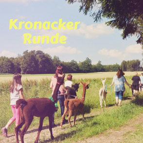 Gruppe Menschen entspannt auf der Wanderung mit Alpakas & Lamas