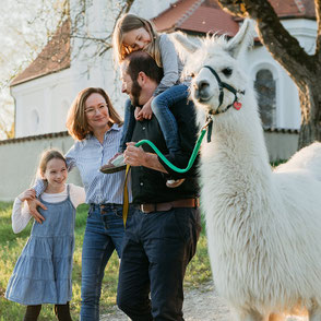 Familienausflug mit Alpakas am Pointnerhof