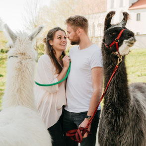 Romantische Begegnung eines Liebespärchen mit Lamas am Pointnerhof