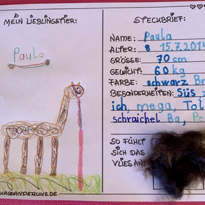 Süße Steckbriefe über das Lieblings-Alpaka inklusive Fellmuster als Andenken