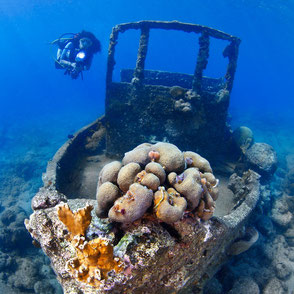 Tugboat, Curacao, Karibik, Karibische Inseln
